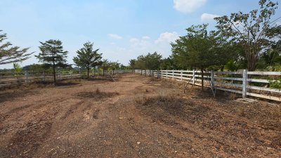 แปลงนี้สวย ริมคลองชลประทาน ต.เขาแร้ง อ.เมืองราชบุรี จ.ราชบุรี