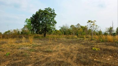 ขายที่ดิน โลเคชั่นทะเลหมอก แบ่งขาย 10 ไร่ขั้นต่ำ