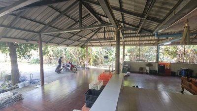 บ้านสวน ริมคลองชลประทาน ติดถนนลาดยาง 1ไร่