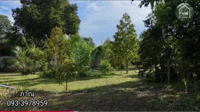 ขายบ้านสวน บ้านไม้ และสวนผลไม้ ทุเรียน เงาะ ลองกอง มังคุด
