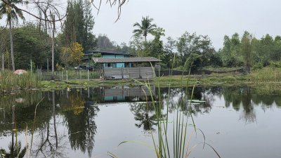 ขายบ้านราคาถูกมาก 700,000.- สวนผึ้ง ราชบุรี ที่ดินโฉนด 1ไร่ 2งาน