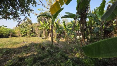 บ้านสวน ริมคลองชลประทาน ติดถนนลาดยาง 1ไร่