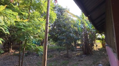 บ้านสวน ริมคลองชลประทาน ติดถนนลาดยาง 1ไร่