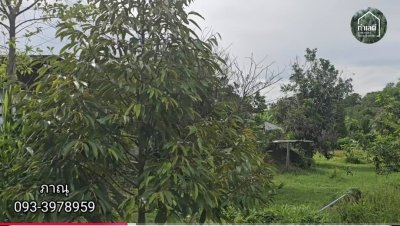 ขายบ้านสวน บ้านไม้ และสวนผลไม้ ทุเรียน เงาะ ลองกอง มังคุด