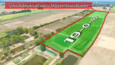 ที่ดินสวนเกษตร 19ไร่กว่า ต.ทุ่งหลวง อ.ปากท่อ จ.ราชบุรี