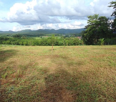 ขายที่ดินโฉนดจังหวัดเลย เจ้าของขายเอง แปลงสวยบนเนินเขา 15 ไร่