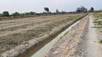 ที่ดินสวนเกษตร 19ไร่กว่า ต.ทุ่งหลวง อ.ปากท่อ จ.ราชบุรี