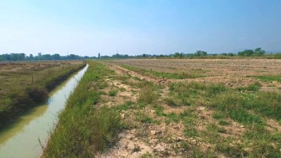 ที่ดินสวนเกษตร 19ไร่กว่า ต.ทุ่งหลวง อ.ปากท่อ จ.ราชบุรี