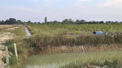 ที่ดินสวนเกษตร 19ไร่กว่า ต.ทุ่งหลวง อ.ปากท่อ จ.ราชบุรี