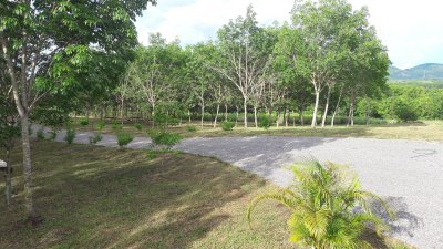 ขายที่ดินโฉนดจังหวัดเลย เจ้าของขายเอง แปลงสวยบนเนินเขา 15 ไร่