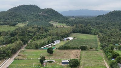 ที่ดินโฉนดสวนผึ้ง ราคา 480,000 บาท