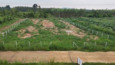 ที่ดิน 1 ไร่ 44 ตร.วา ขายยกแปลง 650,000 บาท ต.จอมบึง อ.จอมบึง จ.ราชบุรี