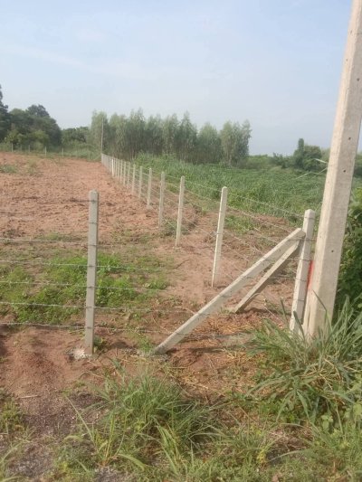 ที่ดิน 1 ไร่ 44 ตร.วา ขายยกแปลง 650,000 บาท ต.จอมบึง อ.จอมบึง จ.ราชบุรี