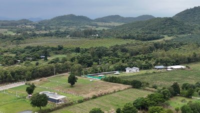 ที่ดินโฉนดสวนผึ้ง ราคา 480,000 บาท