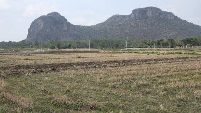 311 ตร.วา ต.เขาแร้ง อ.เมืองราชบุรี จ.ราชบุรี