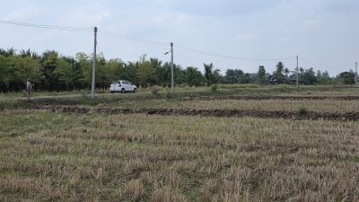 360 ตร.วา ฟรีโอน ไฟฟ้า น้ำประปาหน้าแปลง