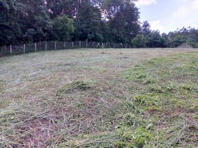 ขายที่ดินโฉนดจังหวัดเลย เจ้าของขายเอง แปลงสวยบนเนินเขา 15 ไร่