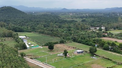 ที่ดินโฉนดสวนผึ้ง ราคา 480,000 บาท