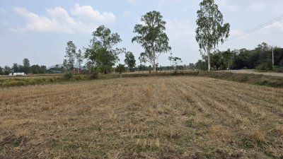 360 ตร.วา ฟรีโอน ไฟฟ้า น้ำประปาหน้าแปลง