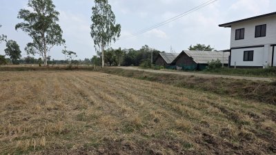 360 ตร.วา ฟรีโอน ไฟฟ้า น้ำประปาหน้าแปลง