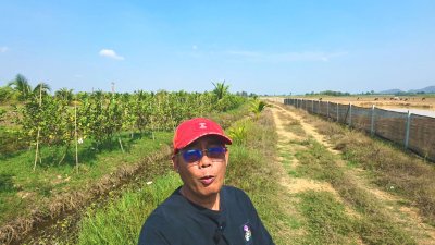 ที่ดินสวนเกษตร 19ไร่กว่า ต.ทุ่งหลวง อ.ปากท่อ จ.ราชบุรี