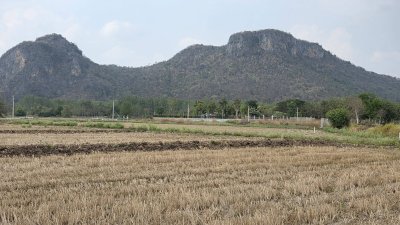 360 ตร.วา ฟรีโอน ไฟฟ้า น้ำประปาหน้าแปลง