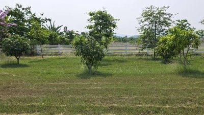 ที่ดินสวนเกษตร ปลูกไม้ผล ไม้ยืนต้น 2 ไร่ 2 งาน 1,600,000 บาท