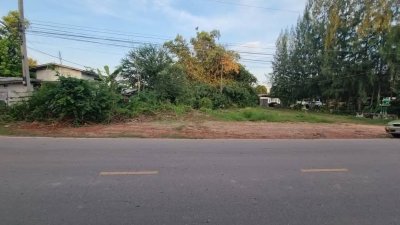 ที่ดินติดถนนลาดยาง 1 ไร่ 800,000 บาท อยู่ในชุมชนบ้านเรือน อยู่หน้าโรงเรียน