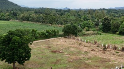 ที่ดินโฉนดสวนผึ้ง ราคา 480,000 บาท