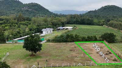 ที่ดินโฉนดสวนผึ้ง ราคา 480,000 บาท