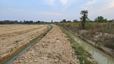 ที่ดินสวนเกษตร 19ไร่กว่า ต.ทุ่งหลวง อ.ปากท่อ จ.ราชบุรี