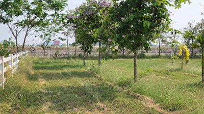 ที่ดินสวนเกษตร ปลูกไม้ผล ไม้ยืนต้น 2 ไร่ 2 งาน 1,600,000 บาท