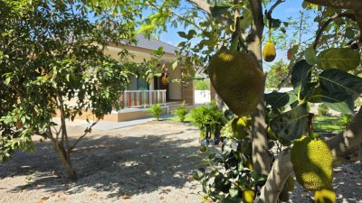 บ้านสวนชั้นเดียว ใกล้ตลาดจอมบึง ต.จอมบึง อ.จอมบึง จ.ราชบุรี