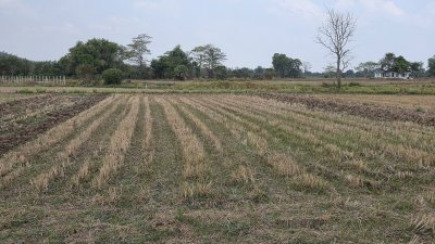 311 ตร.วา ต.เขาแร้ง อ.เมืองราชบุรี จ.ราชบุรี