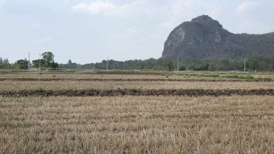 360 ตร.วา ฟรีโอน ไฟฟ้า น้ำประปาหน้าแปลง