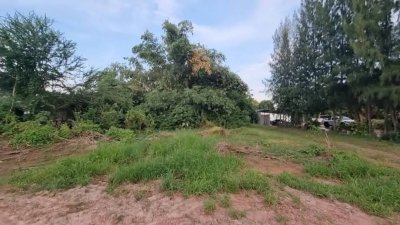 ที่ดินติดถนนลาดยาง 1 ไร่ 800,000 บาท อยู่ในชุมชนบ้านเรือน อยู่หน้าโรงเรียน