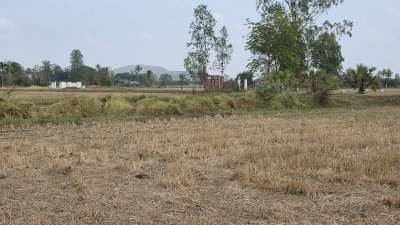 360 ตร.วา ฟรีโอน ไฟฟ้า น้ำประปาหน้าแปลง