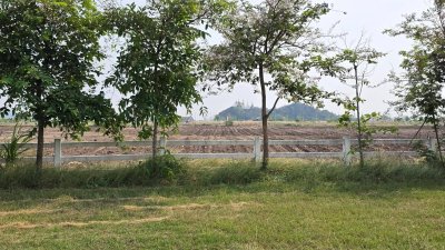 ที่ดินสวนเกษตร ปลูกไม้ผล ไม้ยืนต้น 2 ไร่ 2 งาน 1,600,000 บาท