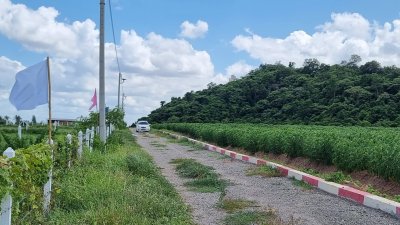 ที่ดินโฉนด วิวเขาล้อม ผ่อนไม่มีดอกเบี้ย อ.โพธาราม จ.ราชบุรี