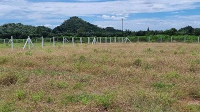 ที่ดินโฉนด วิวเขาล้อม ผ่อนไม่มีดอกเบี้ย อ.โพธาราม จ.ราชบุรี