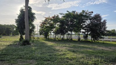 ที่ดินโฉนด ถนนกว้าง ใกล้รพ.และตลาดจอมบึง 10นาที เริ่มต้น 200 ตารางวา