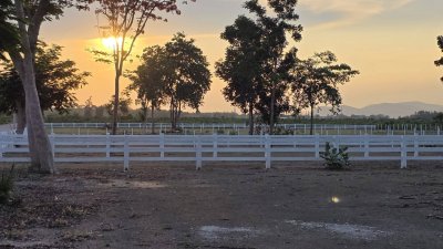 ที่ดินโฉนด ถนนกว้าง ใกล้รพ.และตลาดจอมบึง 10นาที เริ่มต้น 200 ตารางวา