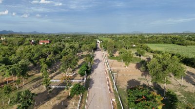 ที่ดินโฉนด ถนนกว้าง ใกล้รพ.และตลาดจอมบึง 10นาที เริ่มต้น 200 ตารางวา