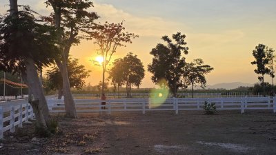 ที่ดินโฉนด ถนนกว้าง ใกล้รพ.และตลาดจอมบึง 10นาที เริ่มต้น 200 ตารางวา