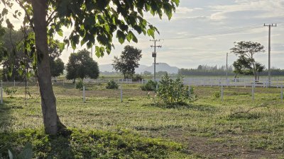 ที่ดินโฉนด ถนนกว้าง ใกล้รพ.และตลาดจอมบึง 10นาที เริ่มต้น 200 ตารางวา