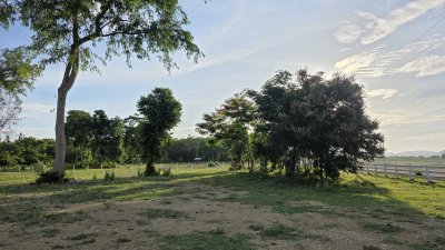 ที่ดินโฉนด ถนนกว้าง ใกล้รพ.และตลาดจอมบึง 10นาที เริ่มต้น 200 ตารางวา