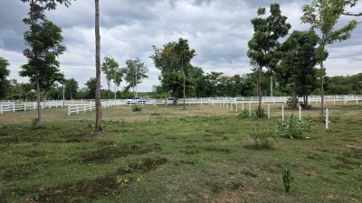 ที่ดินโฉนด ถนนกว้าง ใกล้รพ.และตลาดจอมบึง 10นาที เริ่มต้น 200 ตารางวา