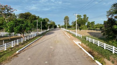 ที่ดินโฉนด ถนนกว้าง ใกล้รพ.และตลาดจอมบึง 10นาที เริ่มต้น 200 ตารางวา