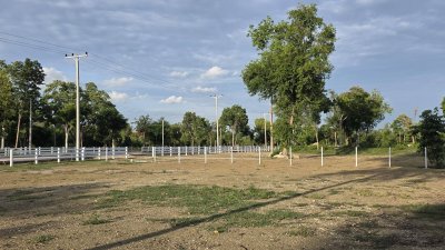 ที่ดินโฉนด ถนนกว้าง ใกล้รพ.และตลาดจอมบึง 10นาที เริ่มต้น 200 ตารางวา