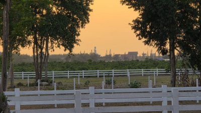 ที่ดินโฉนด ถนนกว้าง ใกล้รพ.และตลาดจอมบึง 10นาที เริ่มต้น 200 ตารางวา